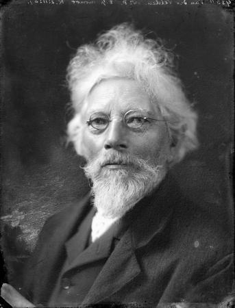 Petrus van der Velden