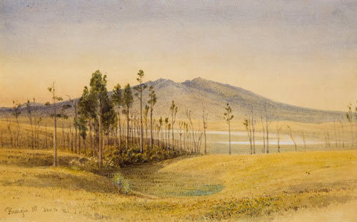 Pirongia mountain