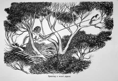 Hunting kererū 