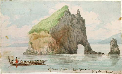 Motu Kōkako (Hole in the Rock)