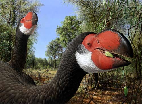 The demon duck of doom