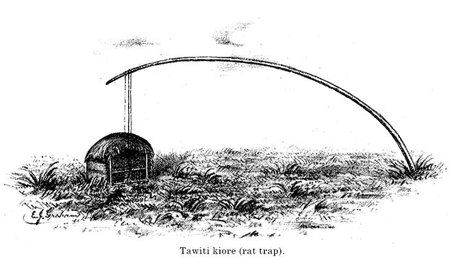 Taupopoki 