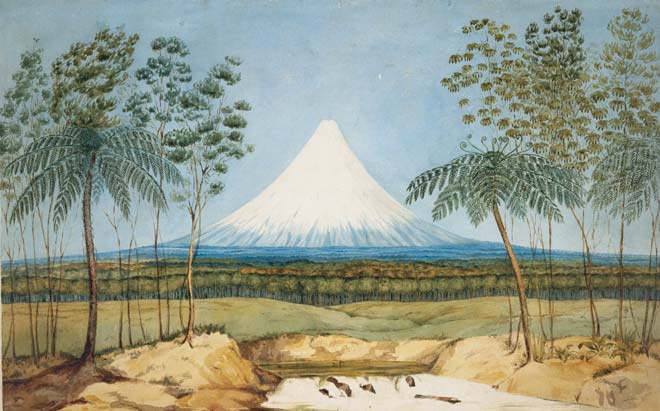 New Zealand art 