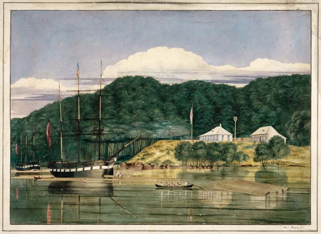 Kauri spars