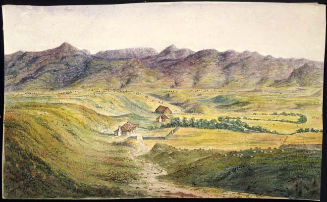 Sheep farming