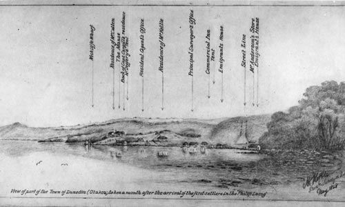 Sketch of Dunedin town