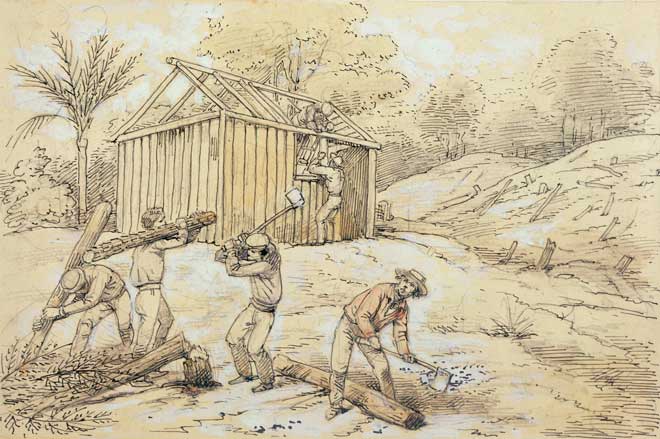 Building a whare