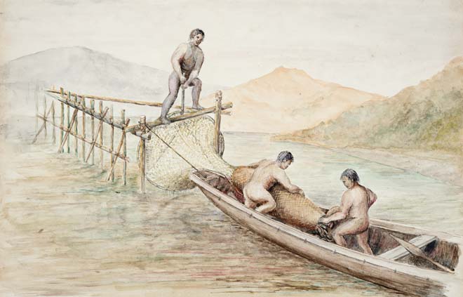 Catching eels