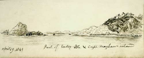 Kapiti Island