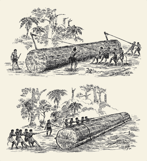 Moving the logs 