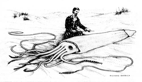 Thomas Kirk with a giant squid