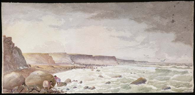 Taranaki cliffs