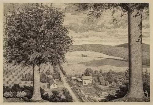 Julius Geissler's farm, Warkworth, North Auckland,
    1918