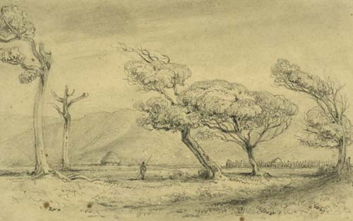 Te Puni’s pā at Petone, 1847