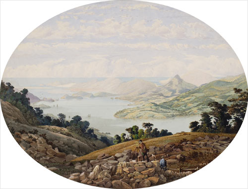 Otago Harbour