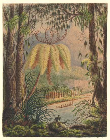Waka, Waikato River