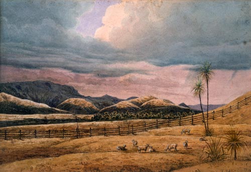 Post-and-rail fence, Wairarapa 