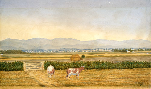 Hedges and gates