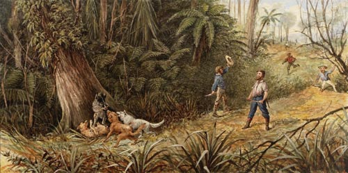 Pig hunting 