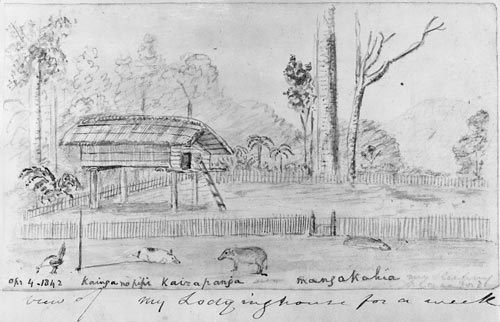 Early poultry