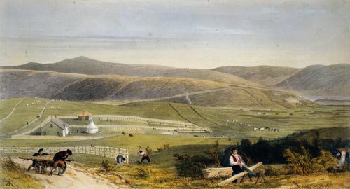 Nelson farmland