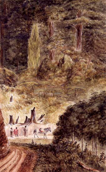 Rimutaka Hill Road 