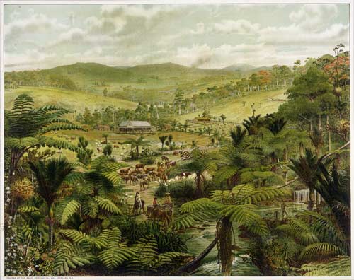 North Island sheep and cattle farming