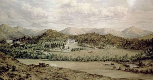 Cheviot Hills homestead