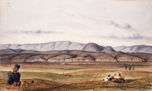 Wharekōrari and Wills at Waikawa 