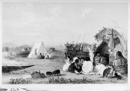Settlement with kurī