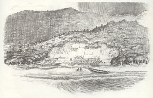 Gardens, Anaura Bay
