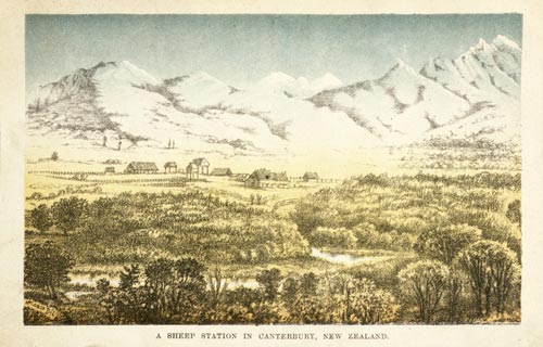 Canterbury sheep station