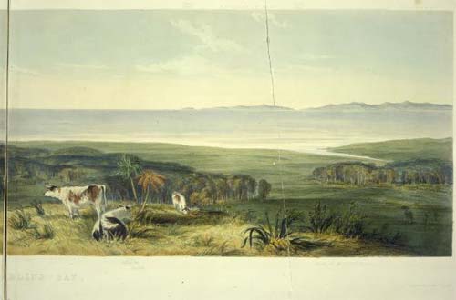 ‘The level country at the South end’ 