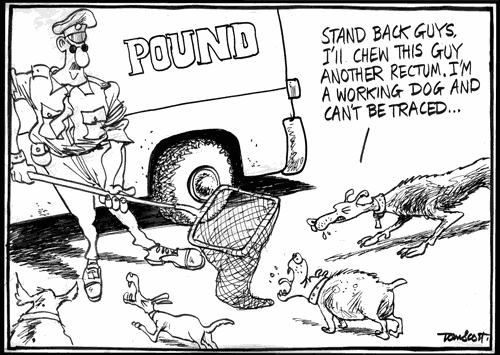 Microchip debate