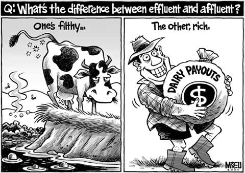 Dirty dairying