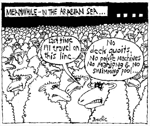 Live sheep exports