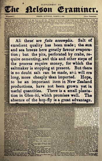 New Zealand’s earliest salt production 