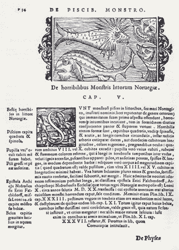 Historical account of a giant squid