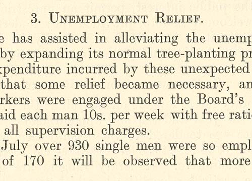 1932 Forest Service report