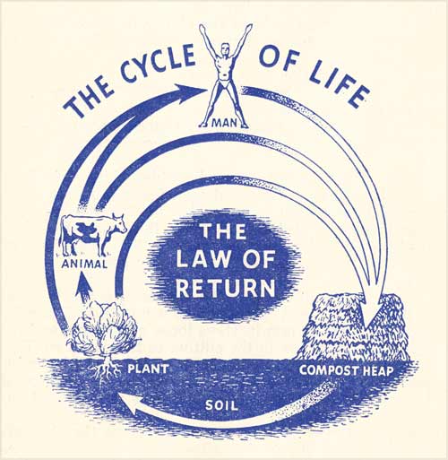 ‘The cycle of life’