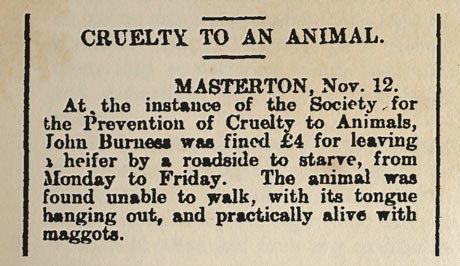 Animal cruelty case