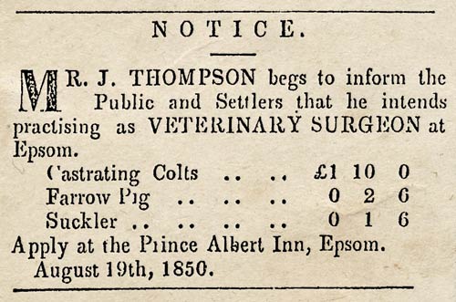 First veterinary surgeon 