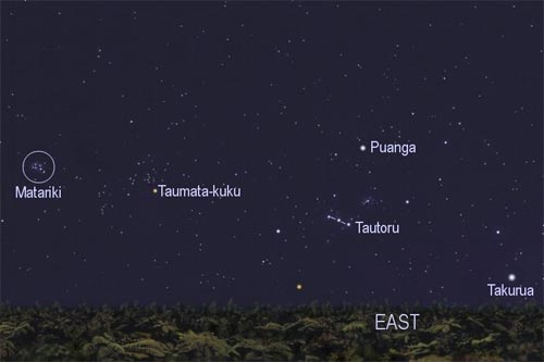 Winter stars