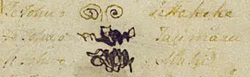 Treaty of Waitangi signatures