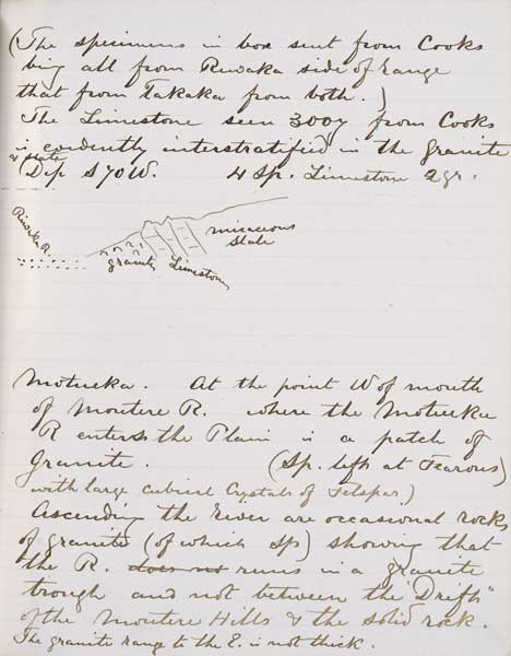 Hector’s field notes