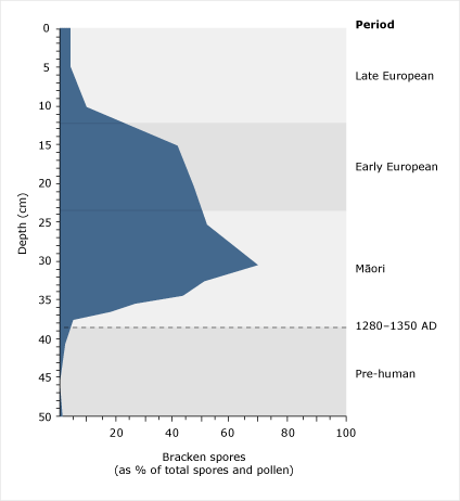 Bracken spore profile