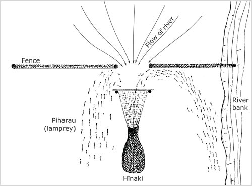 Utu piharau (lamprey weir)