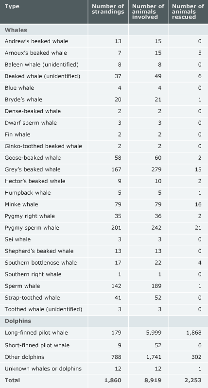 Whale strandings in New Zealand, 1978–2004