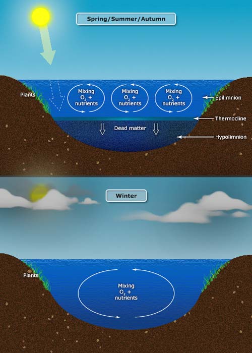 Water circulation in a lake