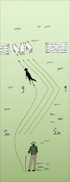 Zigzag hunt 